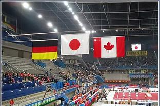 olympic games 2018 hockey final online Ảnh chụp màn hình 0